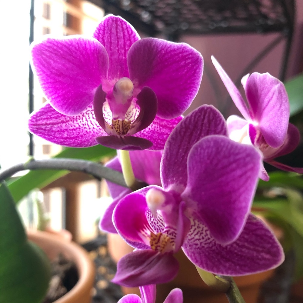 Meet your Posher, Deborah